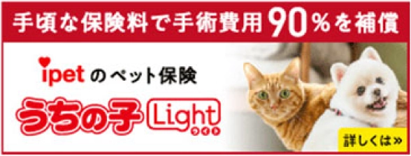 手頃な保険料の手術のペット保険「うちの子ライト」