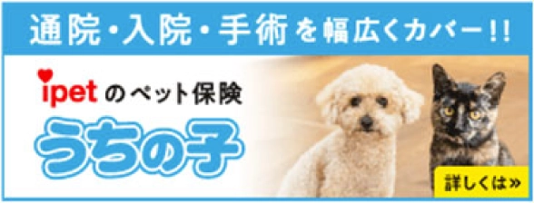 ペット保険・動物保険はアイペット